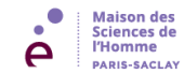 LOGO MSH